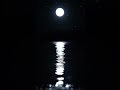 Tranquil Moonlight Over Calm Water | Sleep & Relaxation #moonlight #sleepaid #ambience
