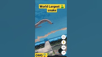 #shorts World Largest 🐍snake #ytshorts #googlemaps