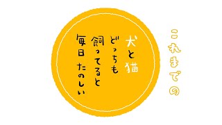 犬と猫どっちも飼ってると毎日たのしい（3）