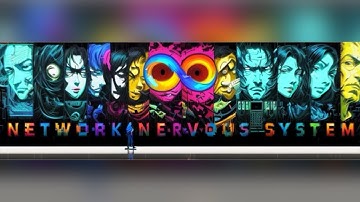 How To Use The NNS Wallet📱