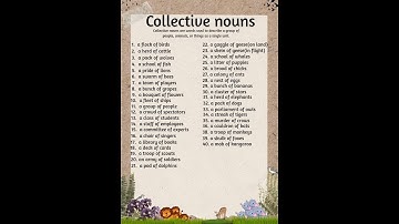Collective Nouns | Definition of collective nouns | most commonly used collective nouns