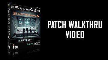 ElectronicA for Repro-1 Patch Walkthru