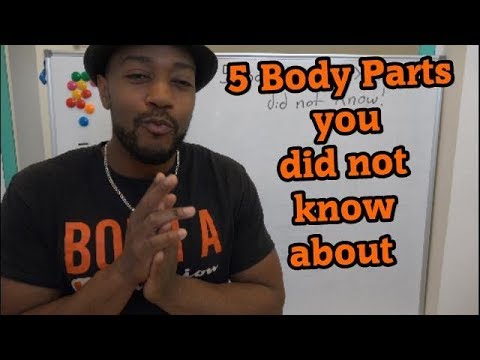 5 body parts you did not know