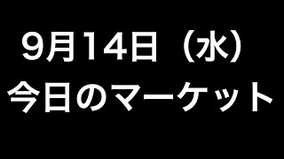 【9月14日（水）】今日のマーケット！！