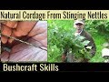 How To Make Natural Cordage From Stinging Nettles - From Picking The Plant to Making The String