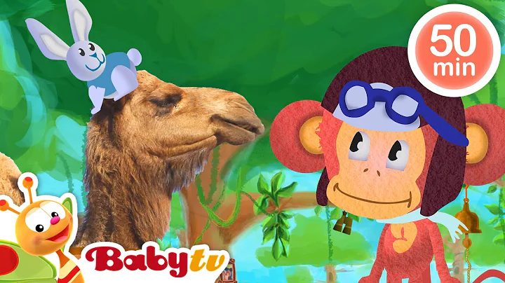 Amazing Animal Facts | Fun Learning Adventures for Kid @BabyTV thumbnail