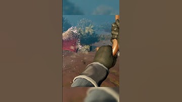 Thumbnail of Nightingale: Gliding & Climbing
