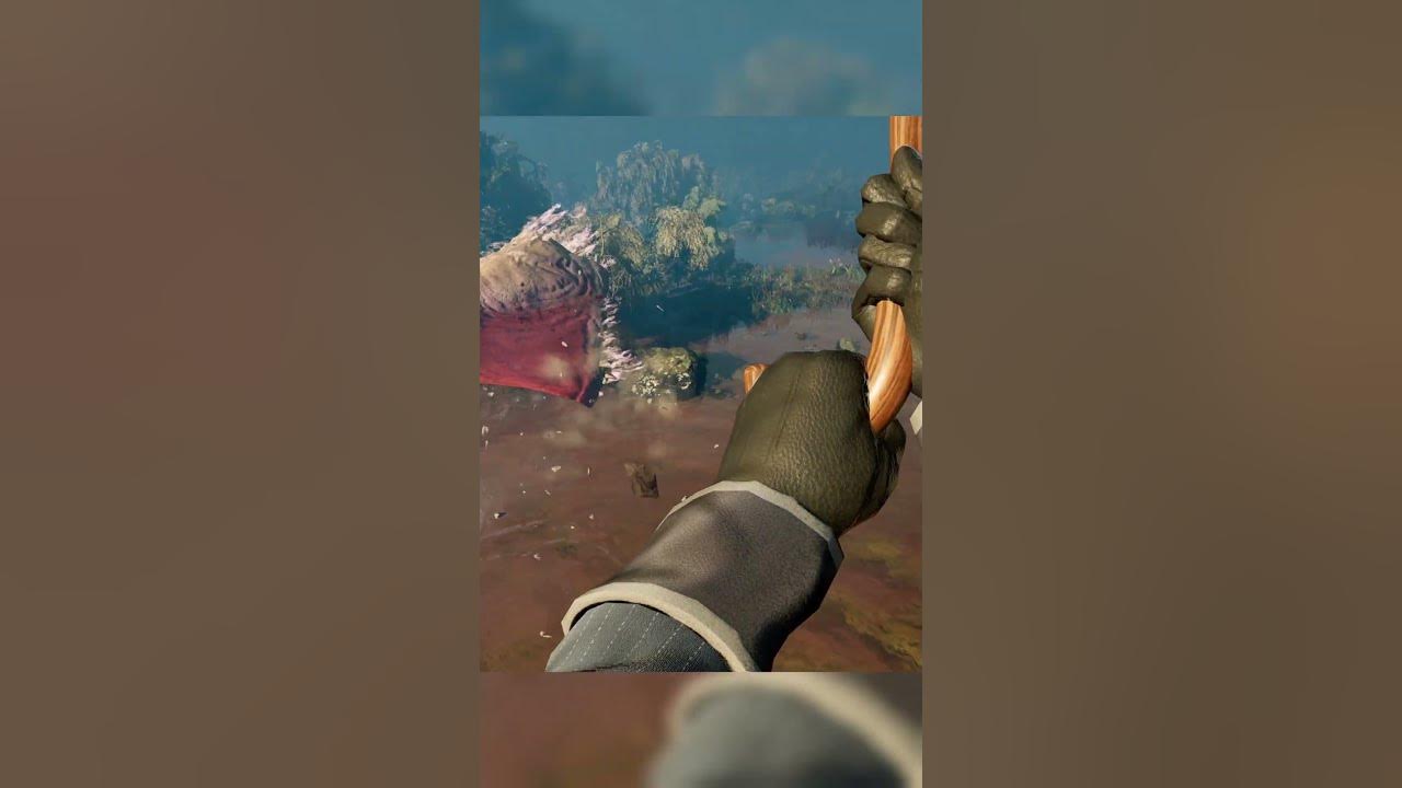Nightingale: Gliding & Climbing