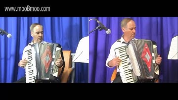 mooBmoo com Accordion E025