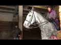 Dressage schooling Sissel on Lancaster