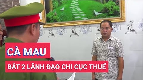 Cà Mau: Khởi tố, bắt tạm giam Chi cục trưởng và Chi cục phó thuế khu vực III
