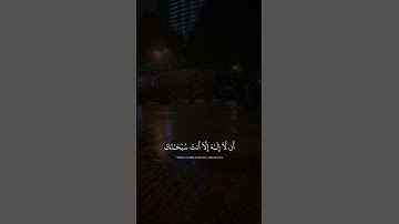 اكتب شي تؤجر عليه ❤ | القارئ اسلام صبحي | قرآن كريم
