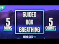 Guided box breathing  5 minute meditation 5555