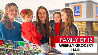 Big Family Grocery Shopping: What's New at ALDI?