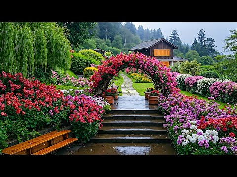 حديقة المطر الهادئة موسيقى مريحة وأفكار تصميم حديقة مذهلة للهدوء الداخلي