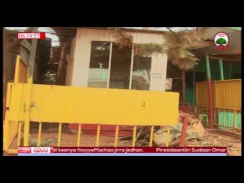 Qarcaa Manneen Ganda