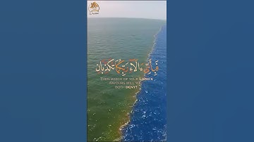 فبأي آلاء ربكما تكذبان | تلاوة من سورة الرحمن بصوت خاشع يلمس القلب