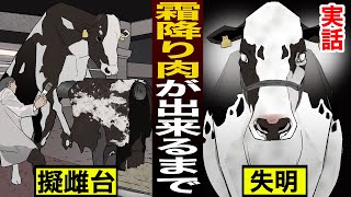 【漫画】「霜降り」のために失明する肉牛　乳を絞られ続け、子供にも会えない乳牛【実態】