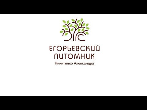 Знакомство с Егорьевским