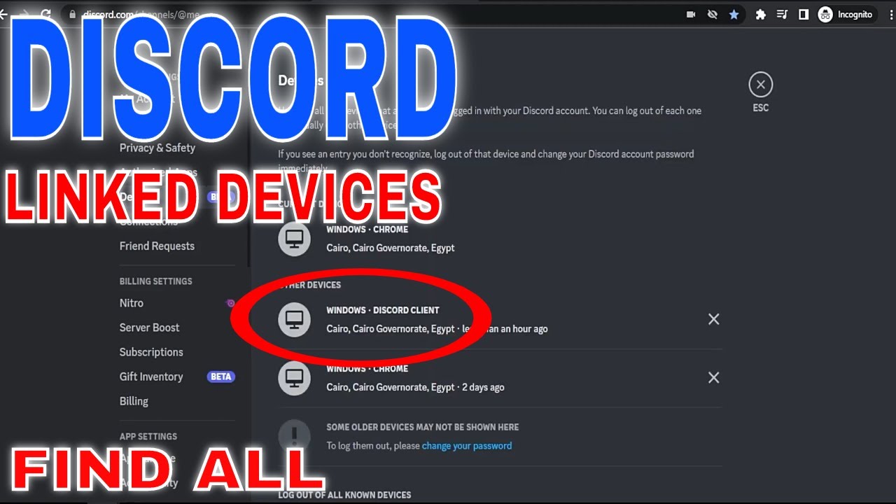 How to Search Groups on Discord? ▷➡️ Trick Library ▷➡️