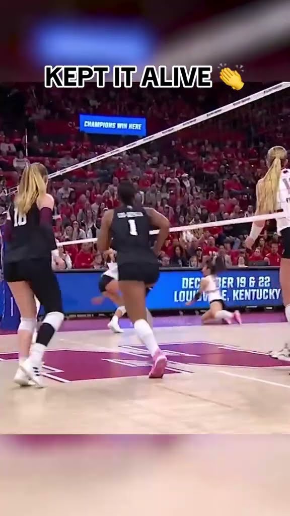 What a save ?