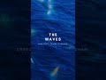 Dropping tomorrow , “The Waves” with Claire Wyndham