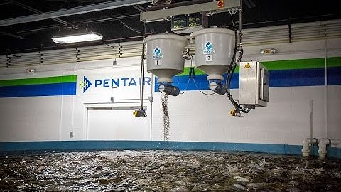 Arvo-Tec Robotic Feeder - PAES W.A.T.E.R. Product Showcase