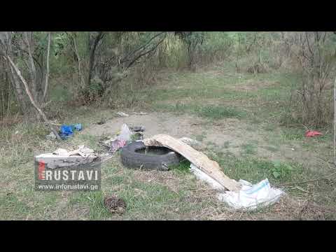 შეყვარებულებმა ტყე დატოვეს