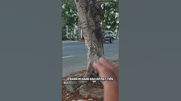 Nhà MT QL55 thị trấn Long Điền khu kinh doanh cách TP Bà Rịa 500m giá ngộp