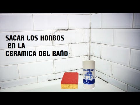 Video: Cómo Eliminar Los Hongos En El Baño