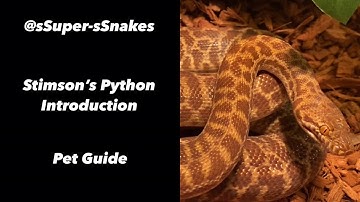 Stimson’s Python Introduction - @sSuper-sSnakes