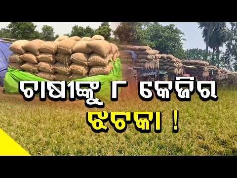 କଳାହାଣ୍ଡି ରାଇସ୍ ମିଲ୍ ସାମ୍ନାରେ ଧାନ ବୋଝେଇ ଟ୍ରାକ୍ଟର, ଆନେ୍ଦାଳନ ଆଳରେ ଲୁଣ୍ଠନର ଶିକାର ହେଉଛି କି ଚାଷୀ?