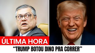 FLÁVIO DINO EM PÂNICO! PRESSÃO INTERNACIONAL FAZ MINISTRO QUERER ABANDONAR O STF