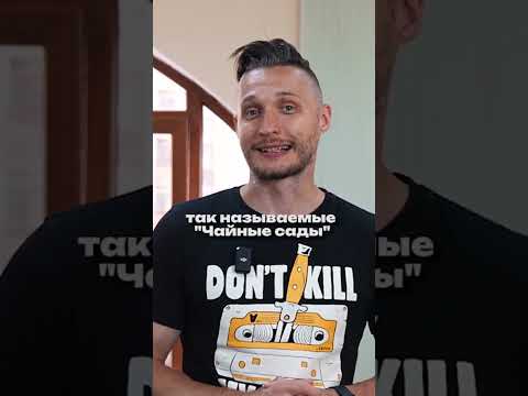 Английские чайные традиции #shorts