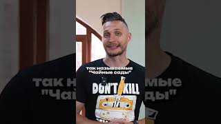Английские чайные традиции #shorts