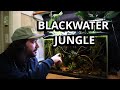 Black Water Jungle Aquarium Setup in my Office