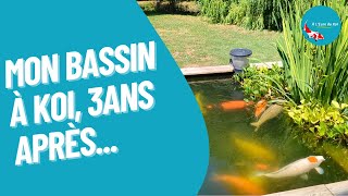 Mon Bassin à Carpe Koï, 5ans après... (Je sauve mon poisson!!)