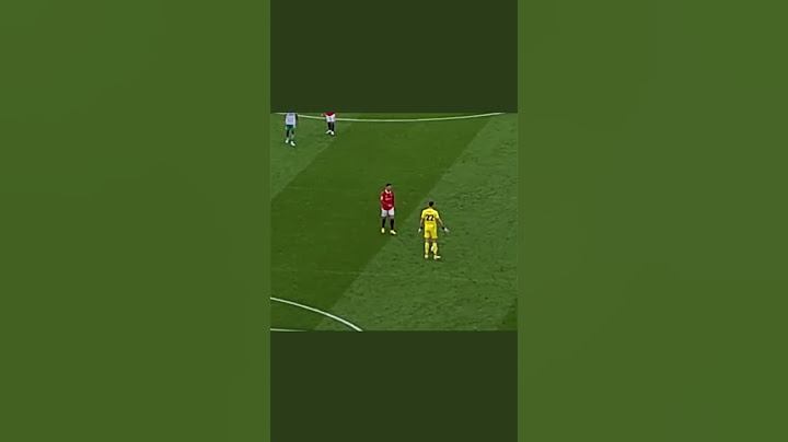 Unseen fan footage reveals Cristiano Ronaldos controversial goal should have stood v Newcastle!