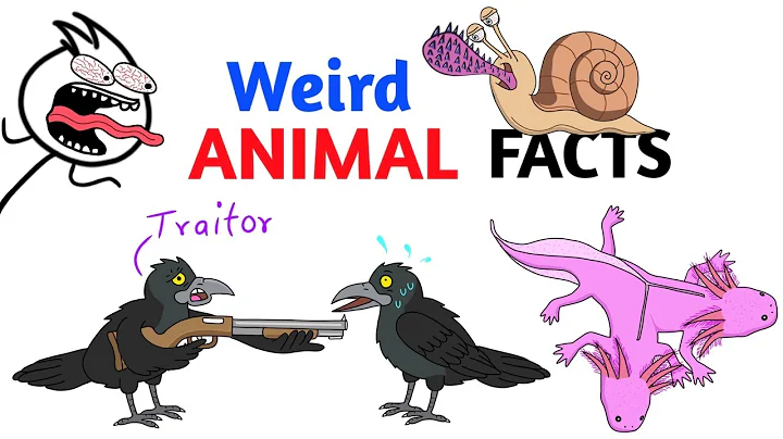 Weird Animal Facts You Never Knew - Part 1 thumbnail