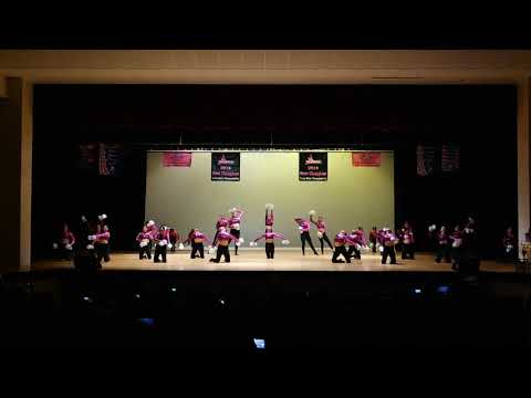 Donna High School D'ettes Team Pom at Dance Extravaganza Concert 2018