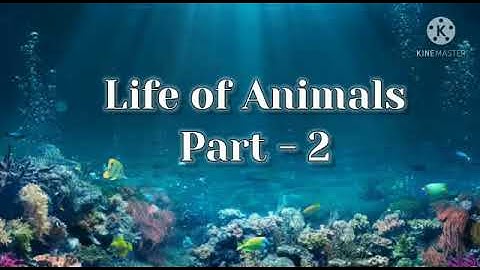 4th std Science(term-3 ) THE  LIFE OF ANIMALS