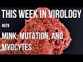 TWiV 679: Mink, mutation, and myocytes