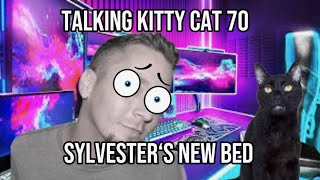 Talking kitty cat 70￼ - Sylvester‘s new bed ￼