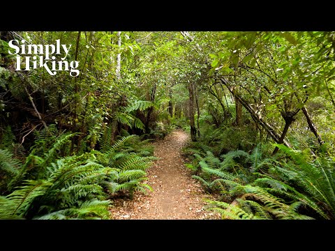 Videó: Nézd: Angellica Bell tippjei a természetjárás élvezetéhez
