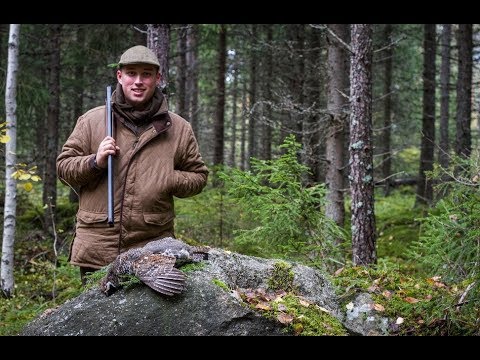 Видео: Эзэн хааны hazel grouse - задгай талбайд тарих, арчлах