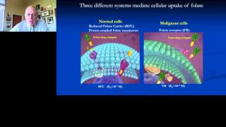 Philip Low - Ligand Targeted Therapies for Cancer and Autoimmune Diseases Profile
