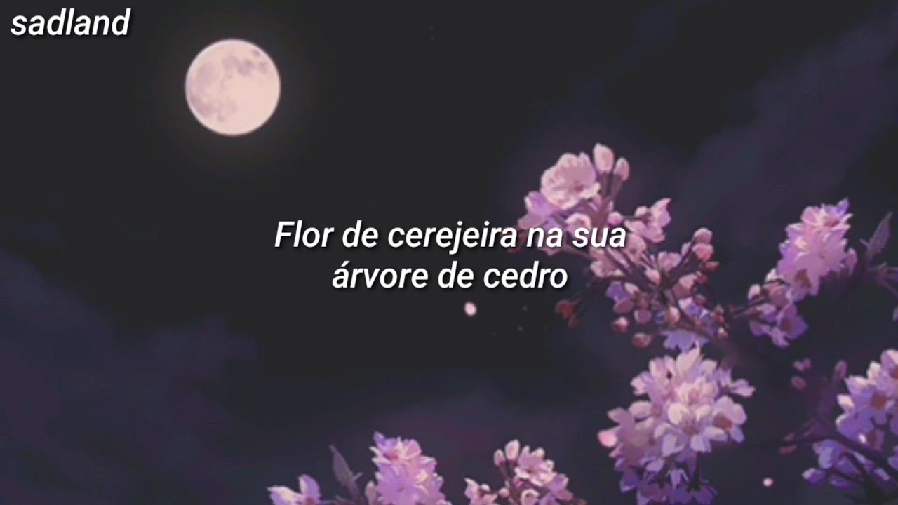 Lana Del Rey - Cherry Blossom // Tradução