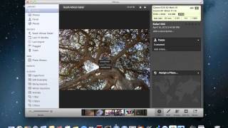 iPhoto - Faces