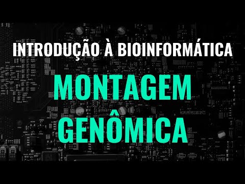 Vídeo: A Montagem De Novo Baseada Em Leitura Longa De Amostras De Metagenoma De Baixa Complexidade Resulta Em Genomas Acabados E Revela Insights Sobre A Diversidade De Deformações E Um Si