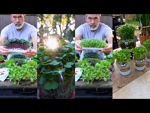 Starting Plastic Free